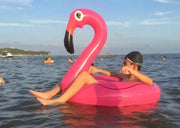 Flamingo Pool Float
