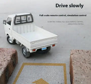 Remote Control Car RC Model