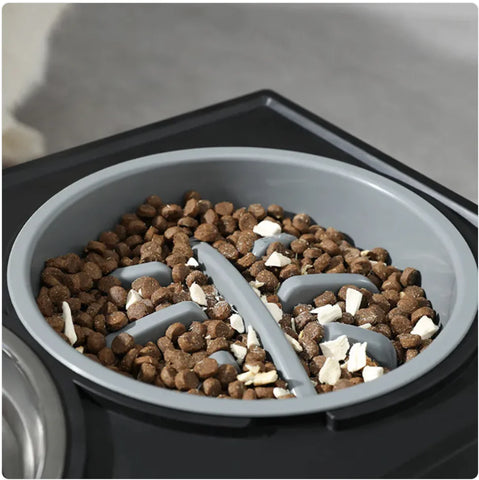 Elevated Slow-Feed Dog Bowl
