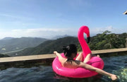 Flamingo Pool Float